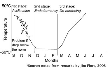 Graph showing the 3 stages. The y-axis is Temperature and the x-axis is Month.