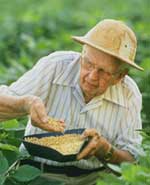 Photo of a farmer harvesting soybeans